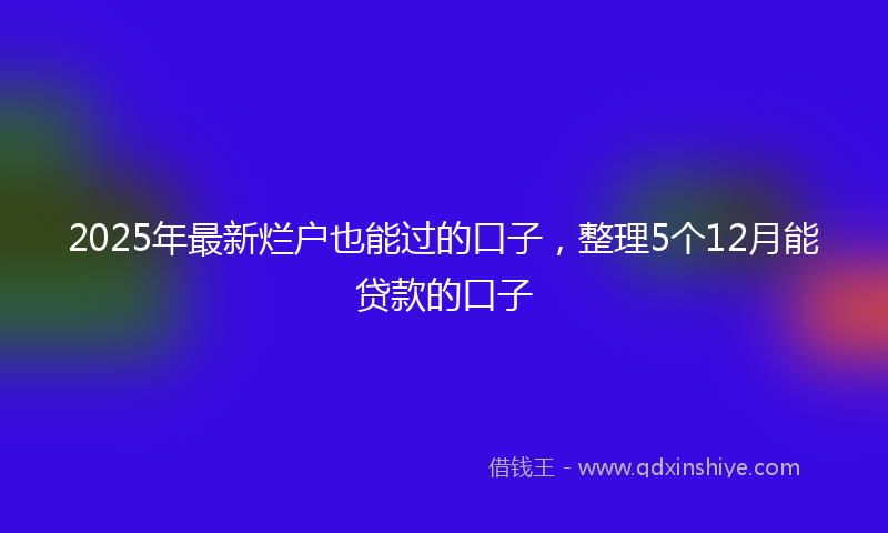 2025年最新烂户也能过的口子，整理5个12月能贷款的口子
