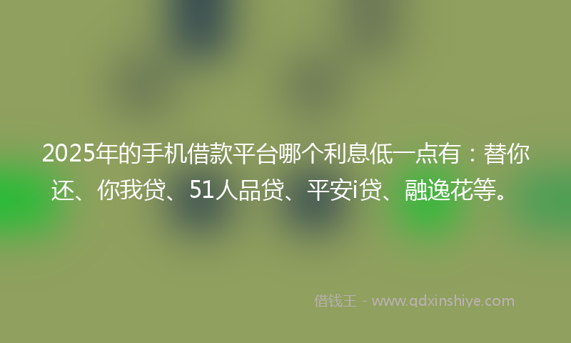 2025年的手机借款平台哪个利息低一点有：替你还、你我贷、51人品贷、平安i贷、融逸花等。
