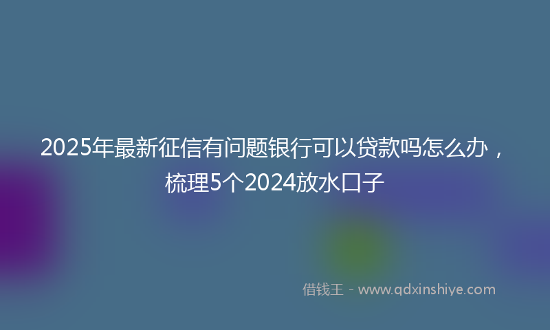 2025年最新征信有问题银行可以贷款吗怎么办，梳理5个2024放水口子