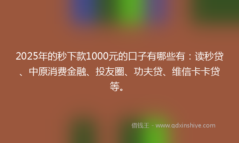2025年的秒下款1000元的口子有哪些有：读秒贷、中原消费金融、投友圈、功夫贷、维信卡卡贷等。