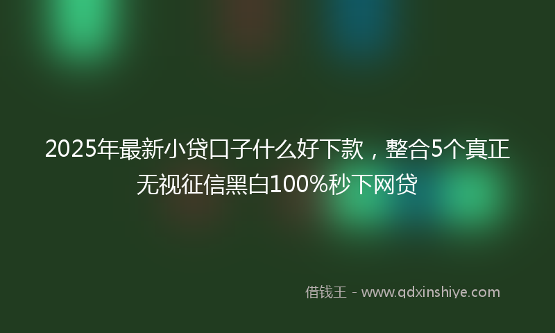 2025年最新小贷口子什么好下款，整合5个真正无视征信黑白100%秒下网贷