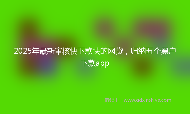 2025年最新审核快下款快的网贷，归纳五个黑户下款app