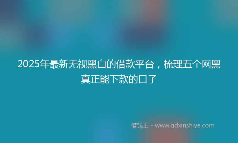 2025年最新无视黑白的借款平台，梳理五个网黑真正能下款的口子
