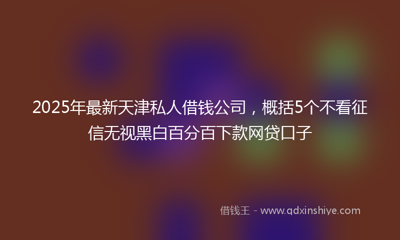 2025年最新天津私人借钱公司，概括5个不看征信无视黑白百分百下款网贷口子
