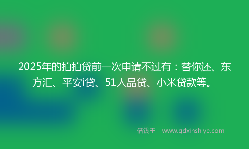 2025年的拍拍贷前一次申请不过有：替你还、东方汇、平安i贷、51人品贷、小米贷款等。