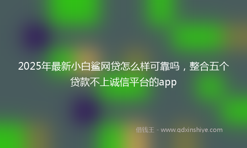 2025年最新小白鲨网贷怎么样可靠吗，整合五个贷款不上诚信平台的app