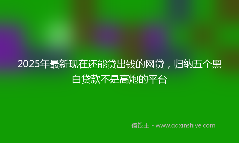 2025年最新现在还能贷出钱的网贷，归纳五个黑白贷款不是高炮的平台