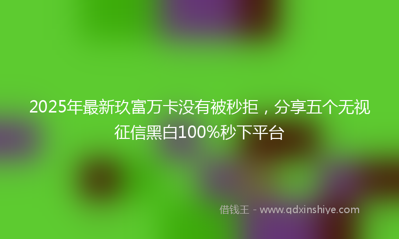 2025年最新玖富万卡没有被秒拒，分享五个无视征信黑白100%秒下平台