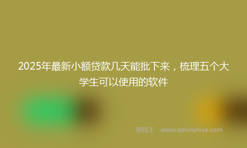 2025年最新小额贷款几天能批下来，梳理五个大学生可以使用的软件