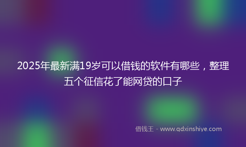 2025年最新满19岁可以借钱的软件有哪些，整理五个征信花了能网贷的口子