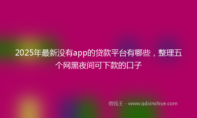 2025年最新没有app的贷款平台有哪些，整理五个网黑夜间可下款的口子