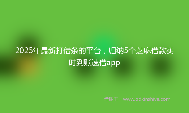 2025年最新打借条的平台，归纳5个芝麻借款实时到账速借app