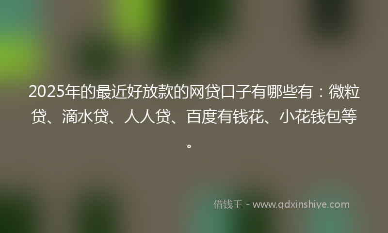 2025年的最近好放款的网贷口子有哪些有：微粒贷、滴水贷、人人贷、百度有钱花、小花钱包等。