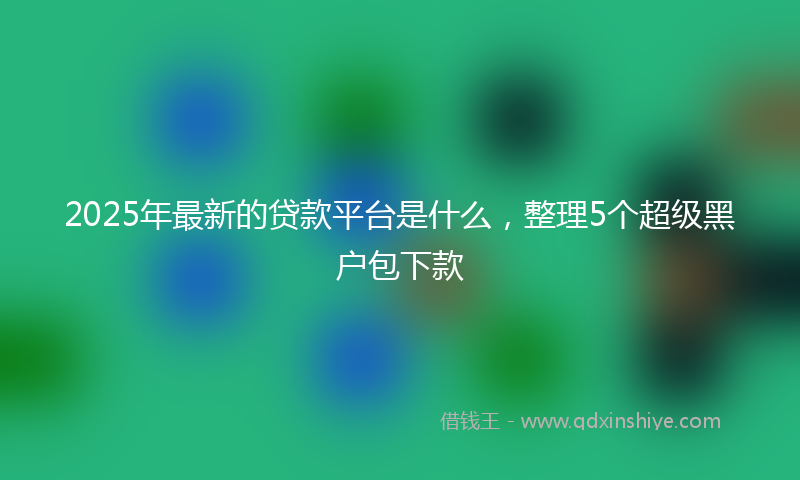 2025年最新的贷款平台是什么，整理5个超级黑户包下款