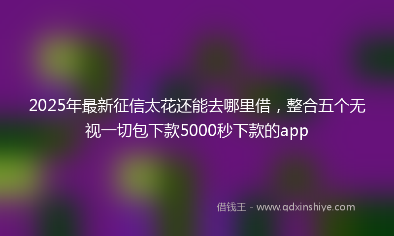 2025年最新征信太花还能去哪里借，整合五个无视一切包下款5000秒下款的app