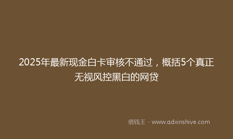 2025年最新现金白卡审核不通过，概括5个真正无视风控黑白的网贷