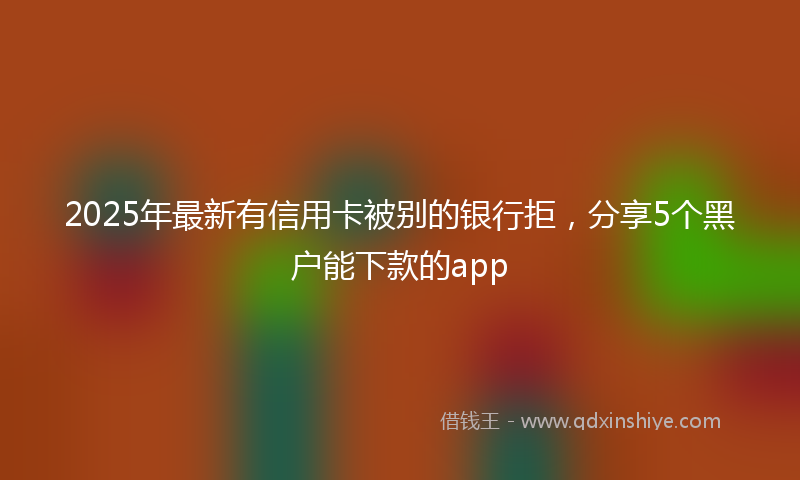 2025年最新有信用卡被别的银行拒，分享5个黑户能下款的app