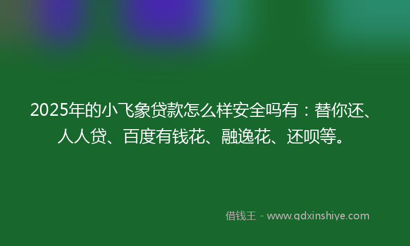 2025年的小飞象贷款怎么样安全吗有：替你还、人人贷、百度有钱花、融逸花、还呗等。