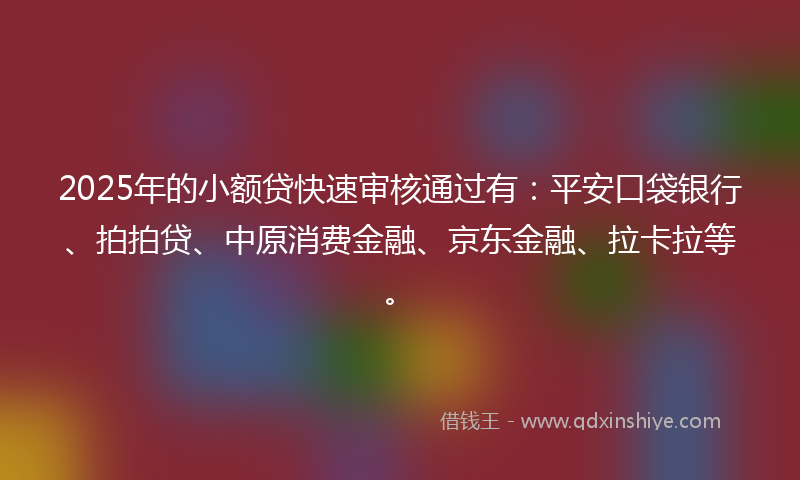 2025年的小额贷快速审核通过有：平安口袋银行、拍拍贷、中原消费金融、京东金融、拉卡拉等。
