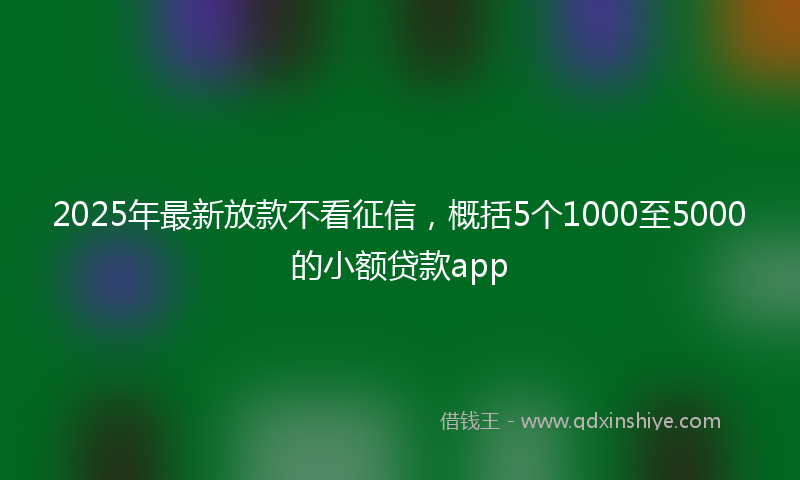 2025年最新放款不看征信，概括5个1000至5000的小额贷款app