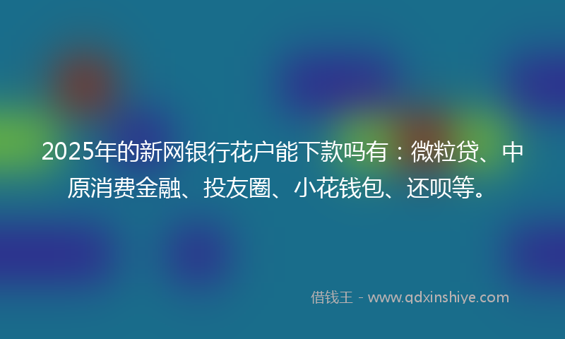 2025年的新网银行花户能下款吗有：微粒贷、中原消费金融、投友圈、小花钱包、还呗等。