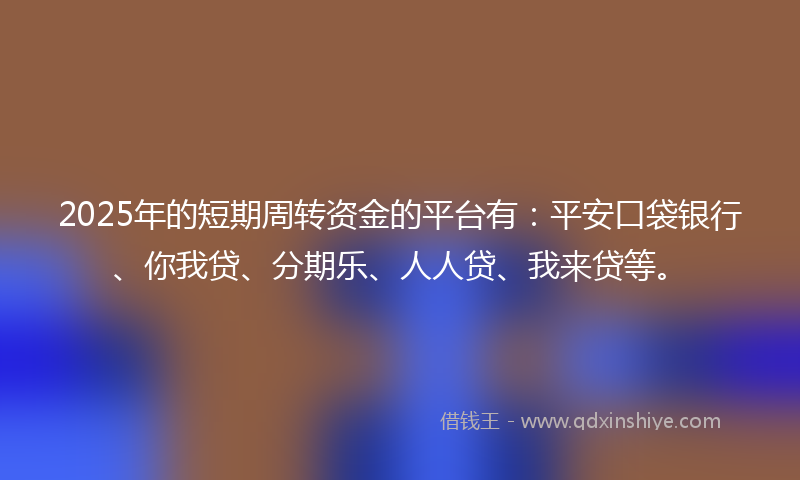 2025年的短期周转资金的平台有：平安口袋银行、你我贷、分期乐、人人贷、我来贷等。