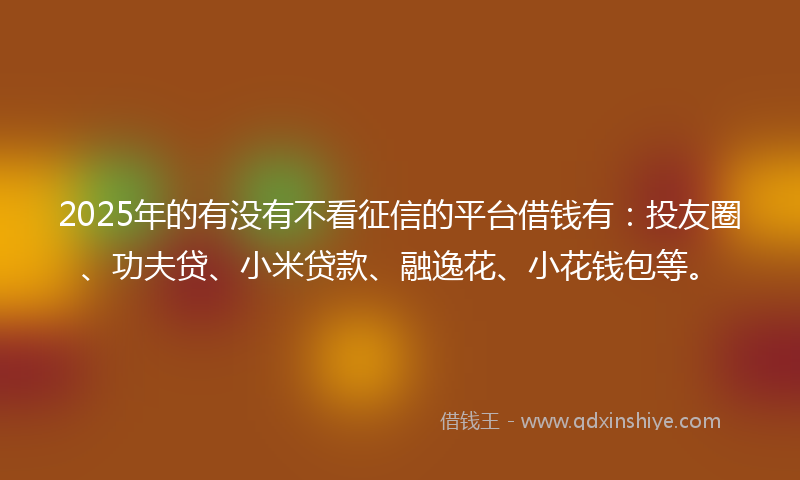 2025年的有没有不看征信的平台借钱有：投友圈、功夫贷、小米贷款、融逸花、小花钱包等。