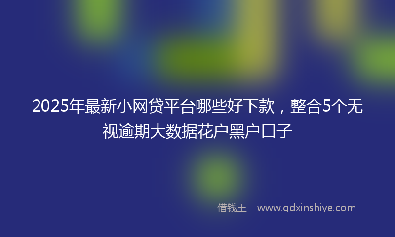 2025年最新小网贷平台哪些好下款，整合5个无视逾期大数据花户黑户口子