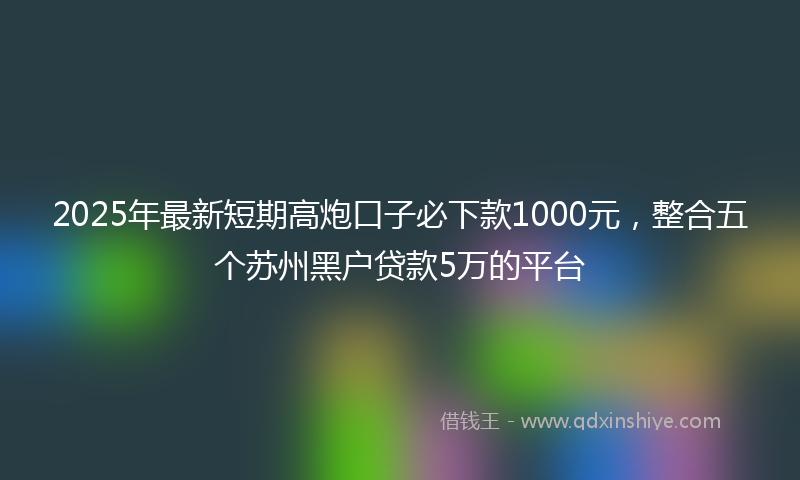 2025年最新短期高炮口子必下款1000元，整合五个苏州黑户贷款5万的平台