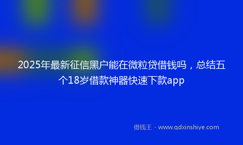 2025年最新征信黑户能在微粒贷借钱吗，总结五个18岁借款神器快速下款app