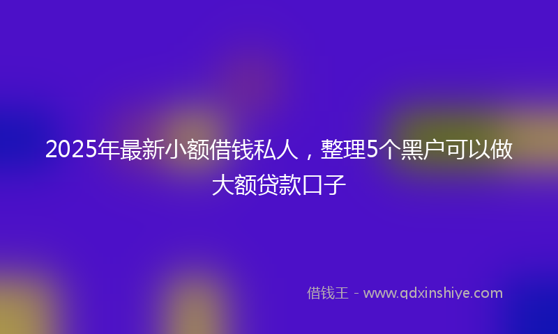 2025年最新小额借钱私人，整理5个黑户可以做大额贷款口子