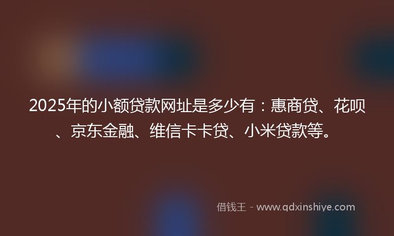 2025年的小额贷款网址是多少有：惠商贷、花呗、京东金融、维信卡卡贷、小米贷款等。