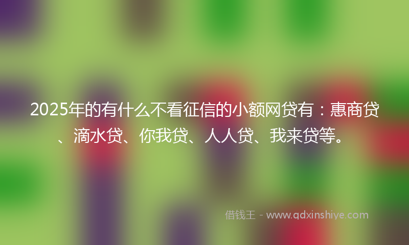 2025年的有什么不看征信的小额网贷有：惠商贷、滴水贷、你我贷、人人贷、我来贷等。