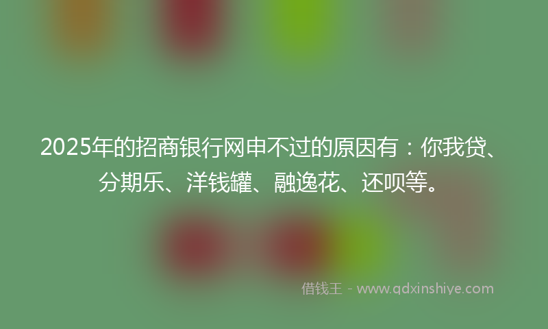 2025年的招商银行网申不过的原因有：你我贷、分期乐、洋钱罐、融逸花、还呗等。