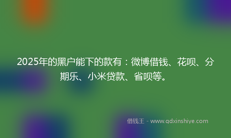 2025年的黑户能下的款有：微博借钱、花呗、分期乐、小米贷款、省呗等。