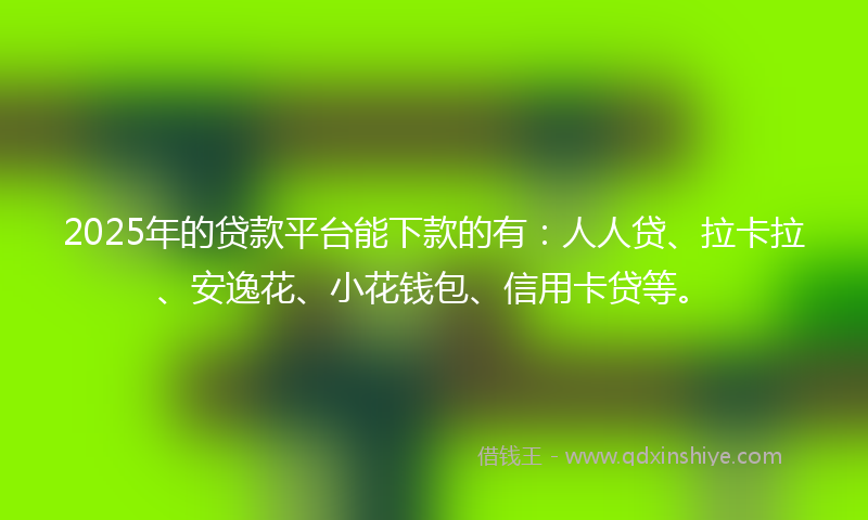 2025年的贷款平台能下款的有：人人贷、拉卡拉、安逸花、小花钱包、信用卡贷等。