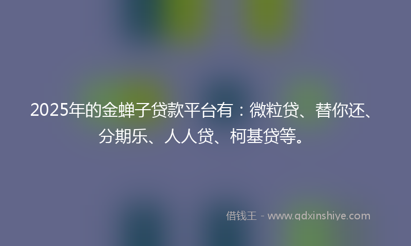 2025年的金蝉子贷款平台有：微粒贷、替你还、分期乐、人人贷、柯基贷等。