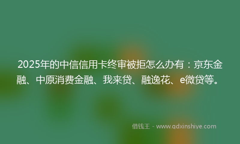 2025年的中信信用卡终审被拒怎么办有：京东金融、中原消费金融、我来贷、融逸花、e微贷等。