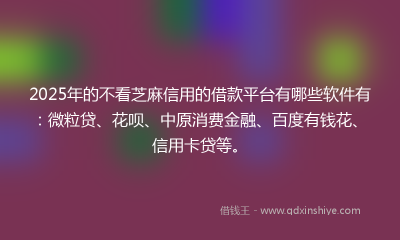 2025年的不看芝麻信用的借款平台有哪些软件有：微粒贷、花呗、中原消费金融、百度有钱花、信用卡贷等。
