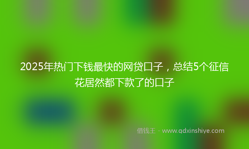 2025年热门下钱最快的网贷口子，总结5个征信花居然都下款了的口子