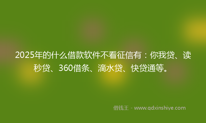 2025年的什么借款软件不看征信有：你我贷、读秒贷、360借条、滴水贷、快贷通等。