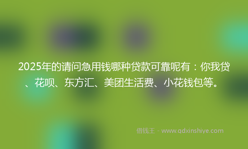 2025年的请问急用钱哪种贷款可靠呢有：你我贷、花呗、东方汇、美团生活费、小花钱包等。