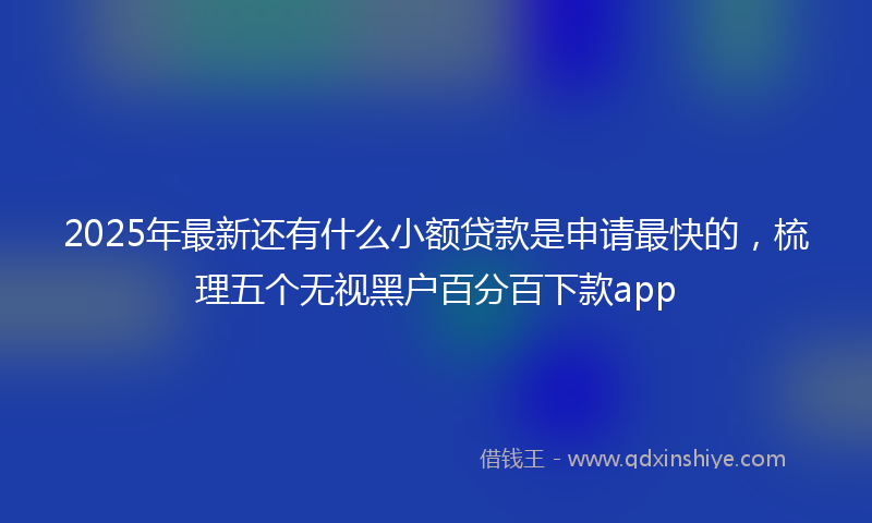 2025年最新还有什么小额贷款是申请最快的，梳理五个无视黑户百分百下款app