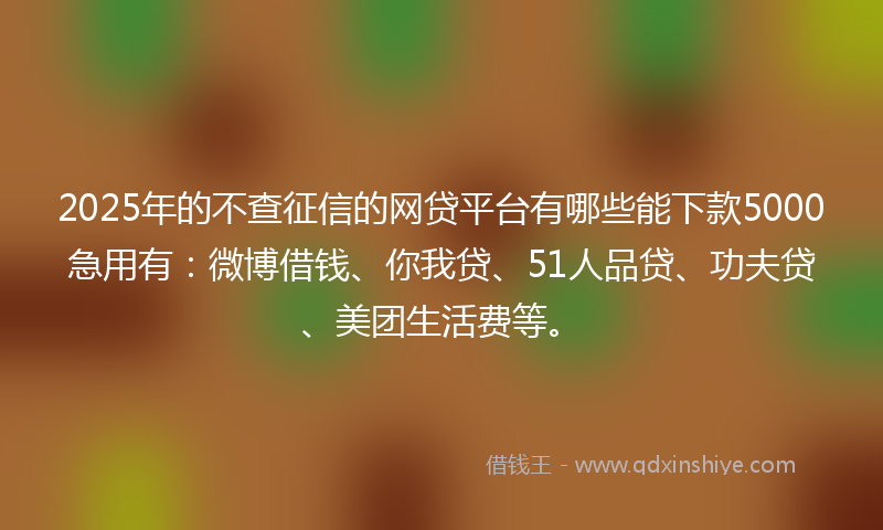 2025年的不查征信的网贷平台有哪些能下款5000急用有：微博借钱、你我贷、51人品贷、功夫贷、美团生活费等。