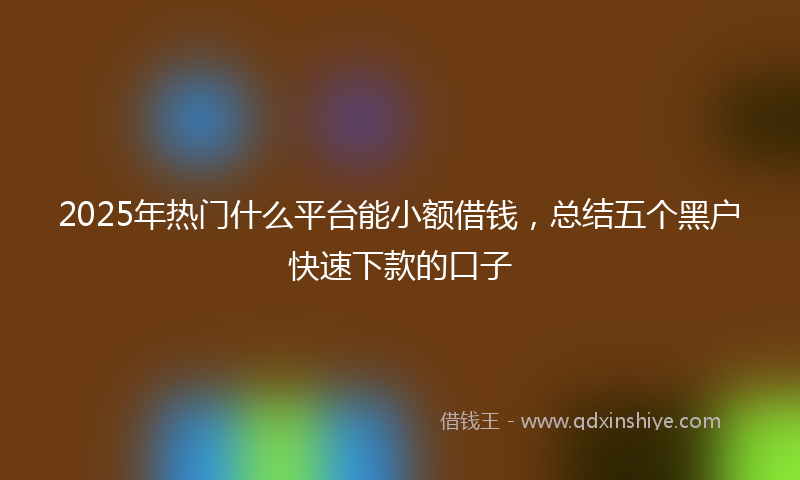 2025年热门什么平台能小额借钱，总结五个黑户快速下款的口子