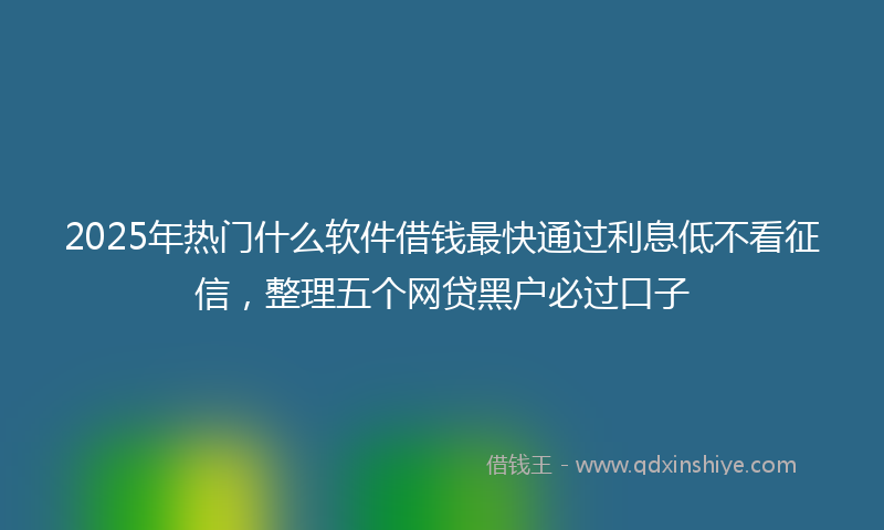 2025年热门什么软件借钱最快通过利息低不看征信，整理五个网贷黑户必过口子