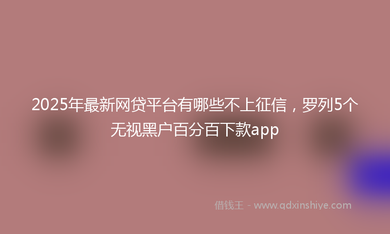 2025年最新网贷平台有哪些不上征信，罗列5个无视黑户百分百下款app