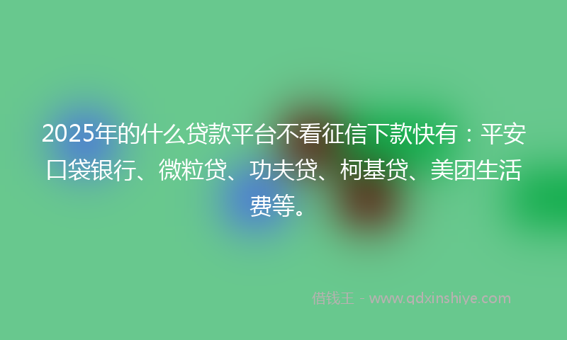 2025年的什么贷款平台不看征信下款快有：平安口袋银行、微粒贷、功夫贷、柯基贷、美团生活费等。