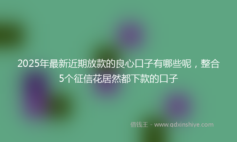 2025年最新近期放款的良心口子有哪些呢，整合5个征信花居然都下款的口子
