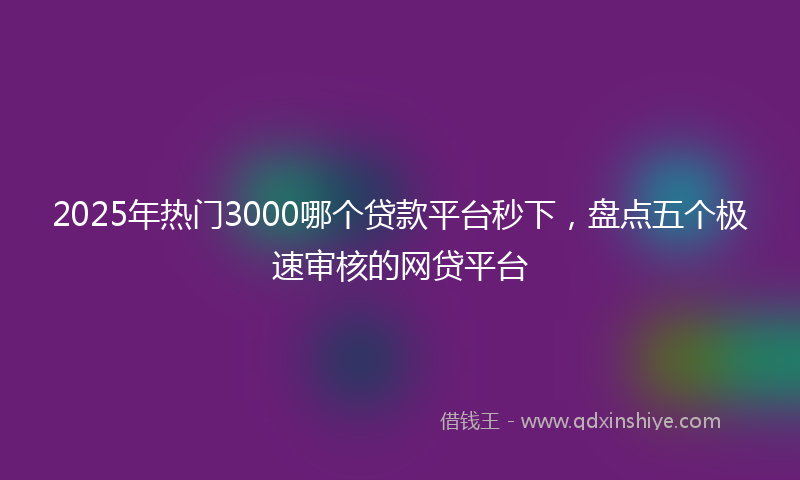2025年热门3000哪个贷款平台秒下，盘点五个极速审核的网贷平台